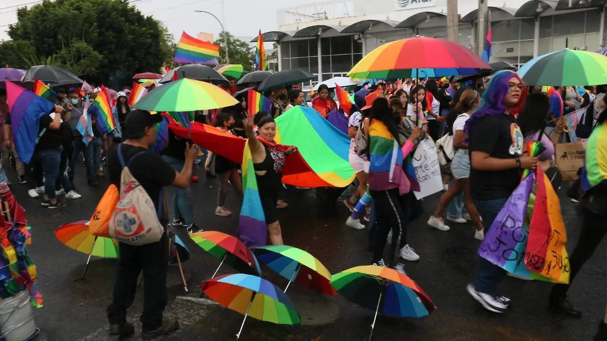 Marcha LGBT (2)